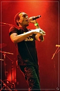 84730 Rootwords 28-04-2015 (Zz) (p)